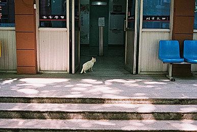 KK官方对战平台新图推荐！独特英灵分队，新时代爆战玩法！