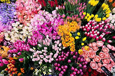 《合金装备》35周年纪念网站只是个愚人节玩笑