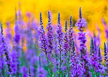 Xbox如今已经成为PlayStation商店的头号发行商